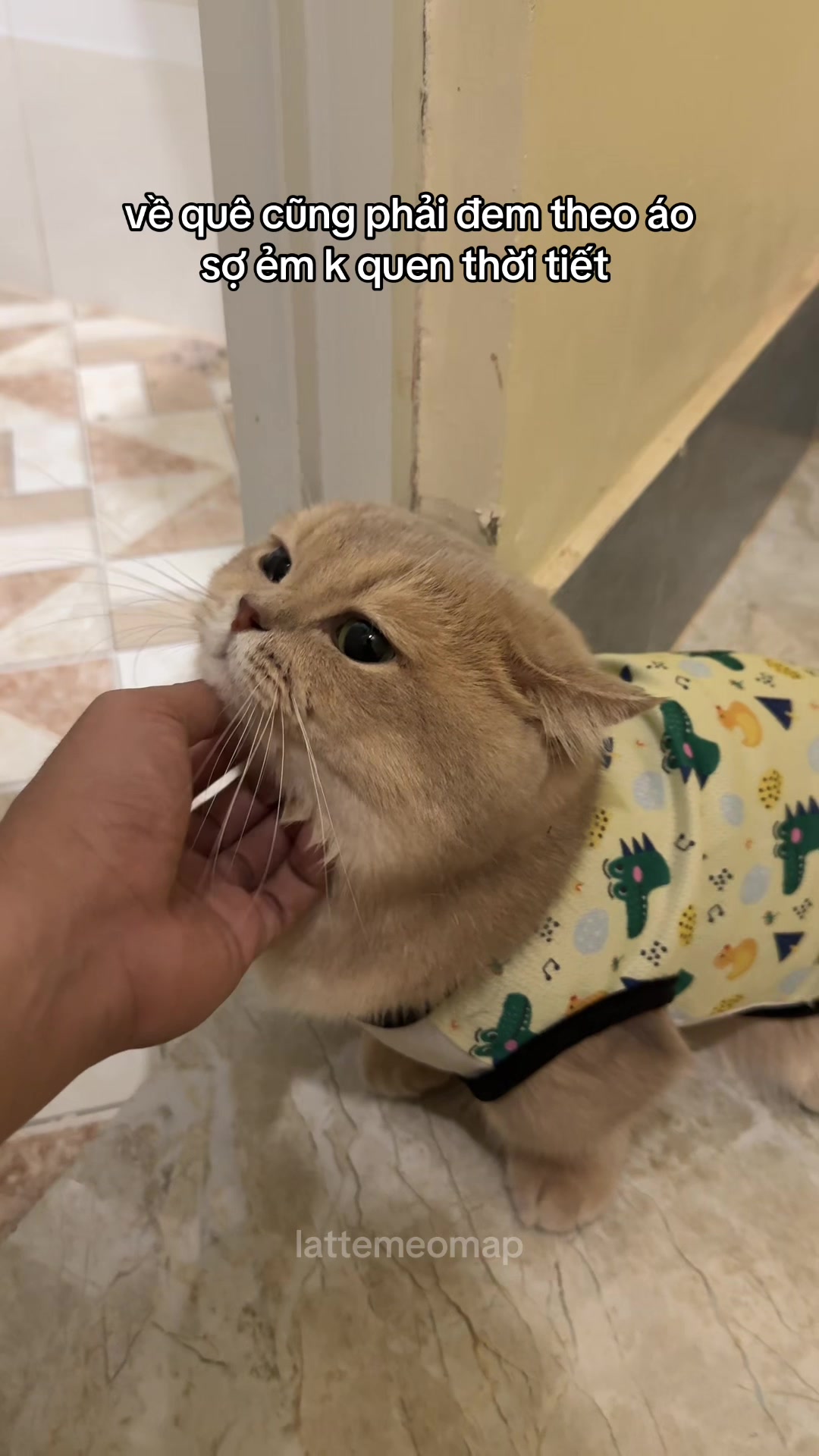 就算回乡下，也得给小家伙带上衣服… TikTok video
