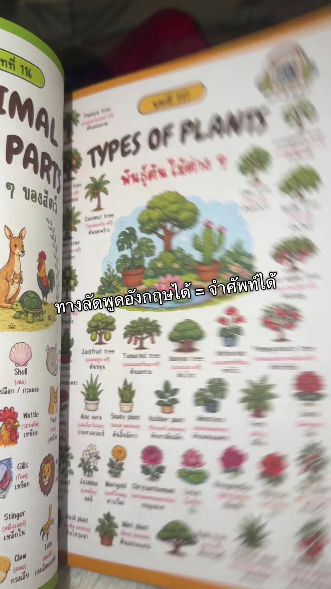 Shortcut to speaking English = Master vocabulary TikTok video