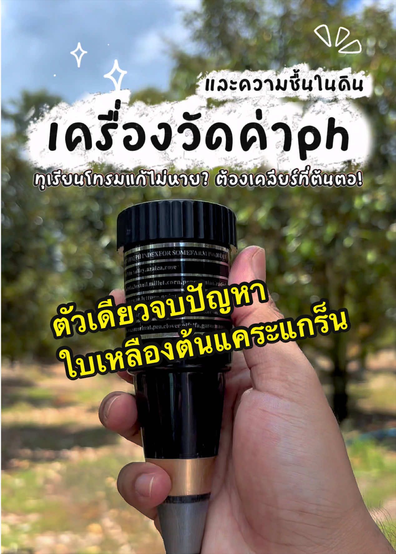 ทุเรี๊ยนทุเรียนป้าพร: 创意策略拆解 TikTok video