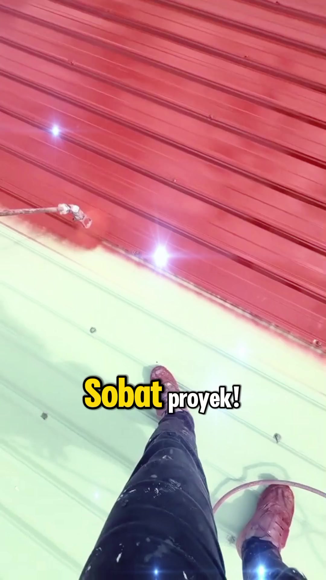 Buddy of the project! TikTok video