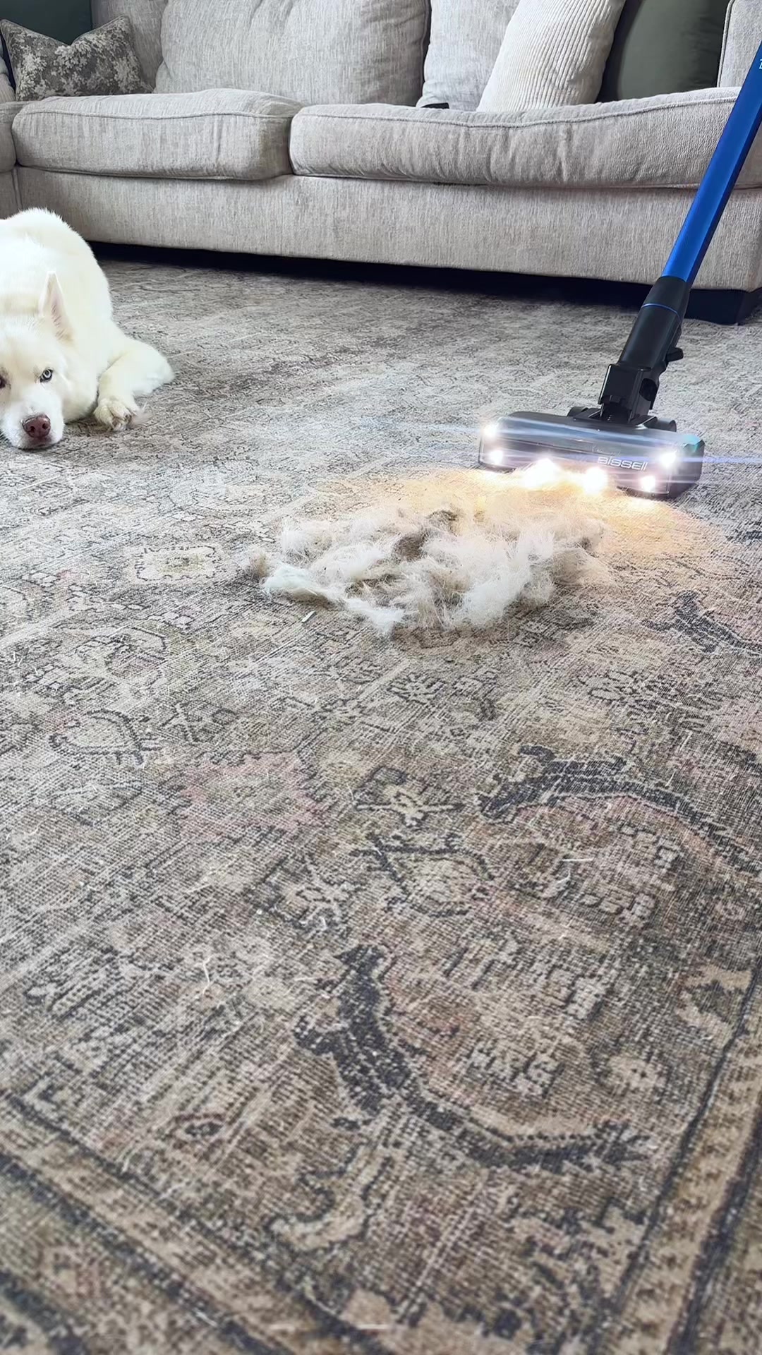 Apparently this is the stick vacuum that all pet owners are recommending. TikTok video