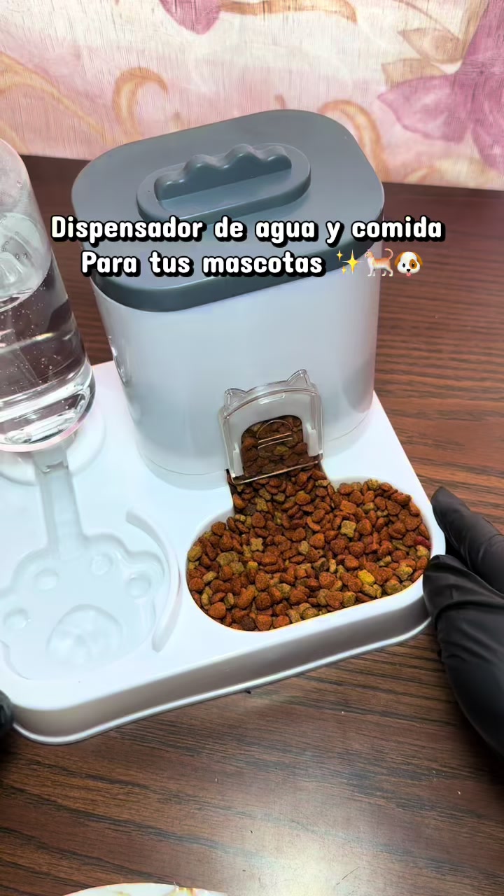 Dispenser of water and food For your pets ✨🐶🐱 TikTok video