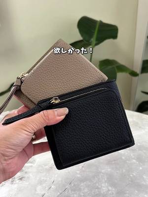 This is the wallet I wanted! TikTok video