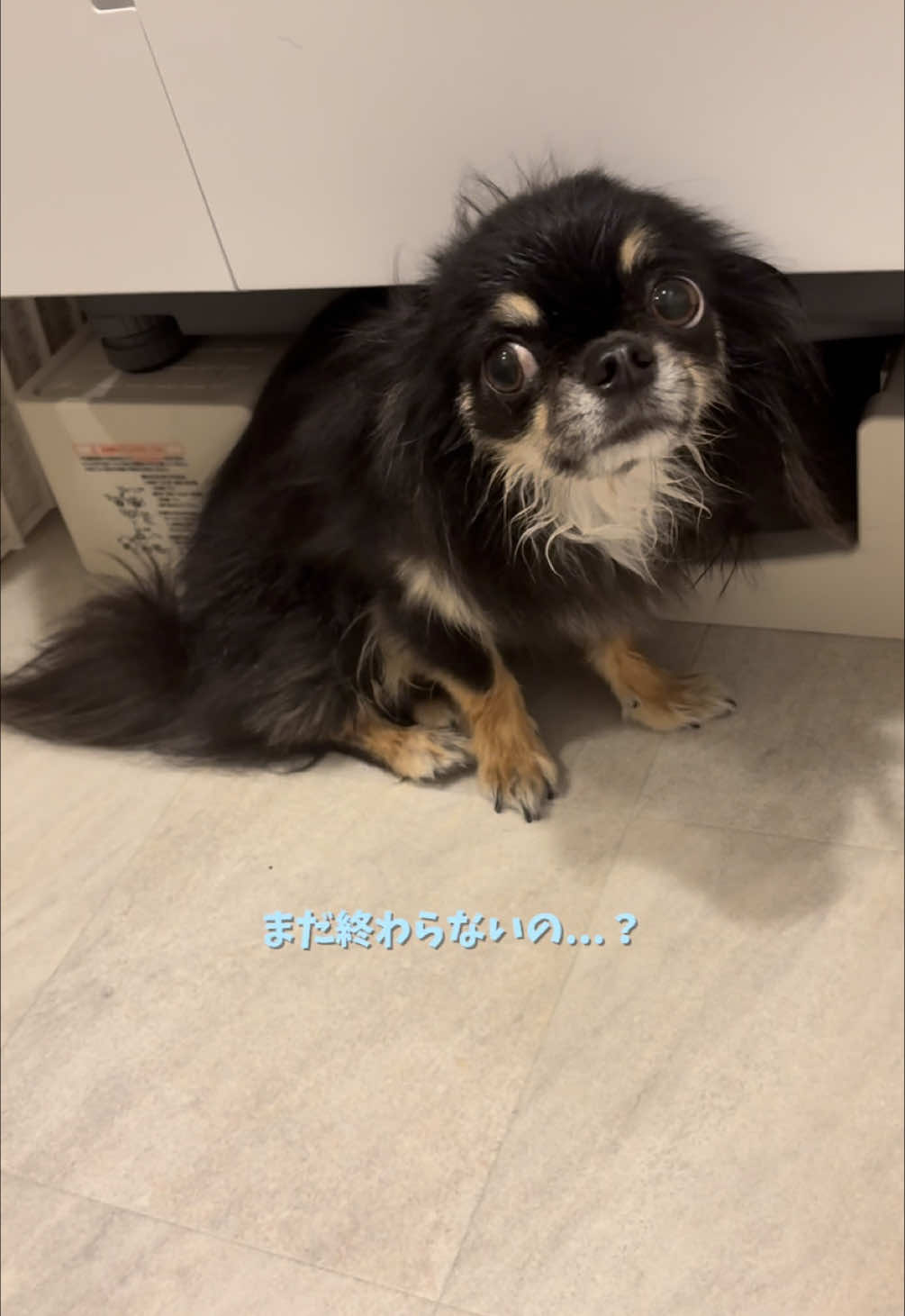 Got put into the bath💧, I'm already clean... TikTok video