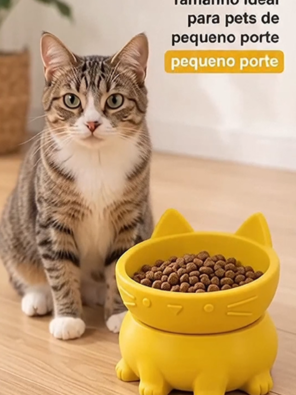 More comfort for your pet / Ideal size for small pets / Your pet deserves the best! TikTok video