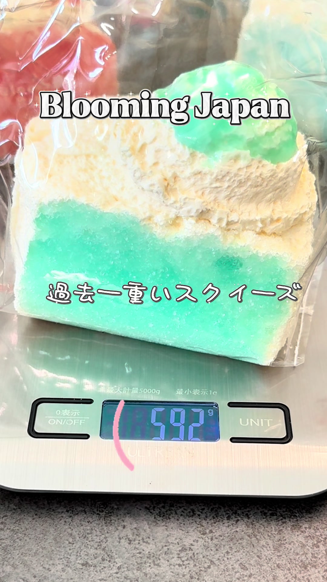 Blooming Japan The heaviest squishy ever Very popular! TikTok video