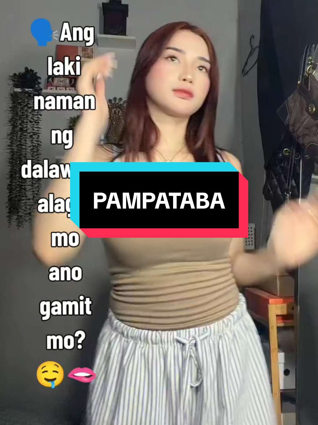 Your two pets are so big, what did you use? TikTok video