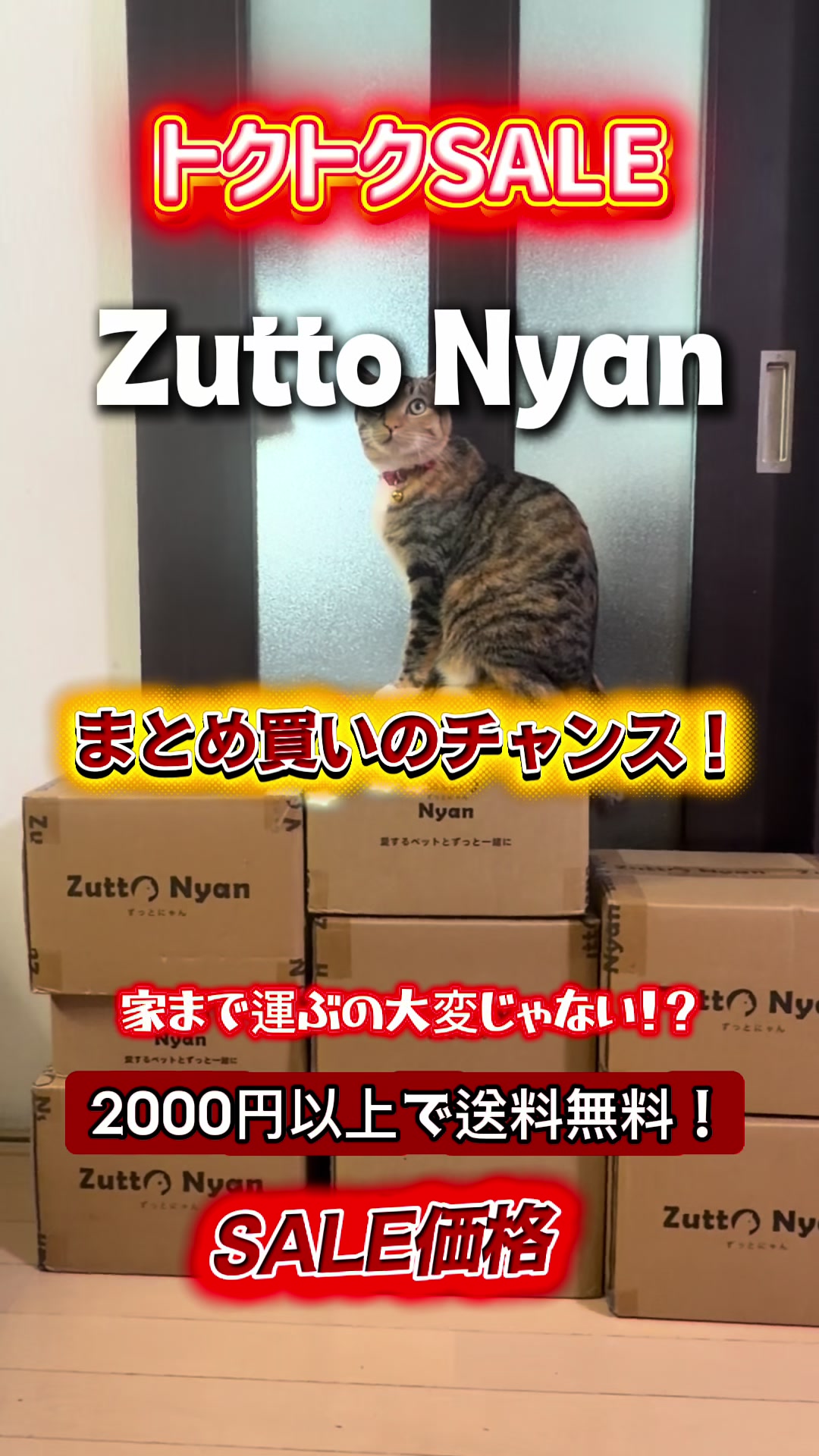 Tokutoku SALE Zutto Nyan Chance for bulk purchase! TikTok video