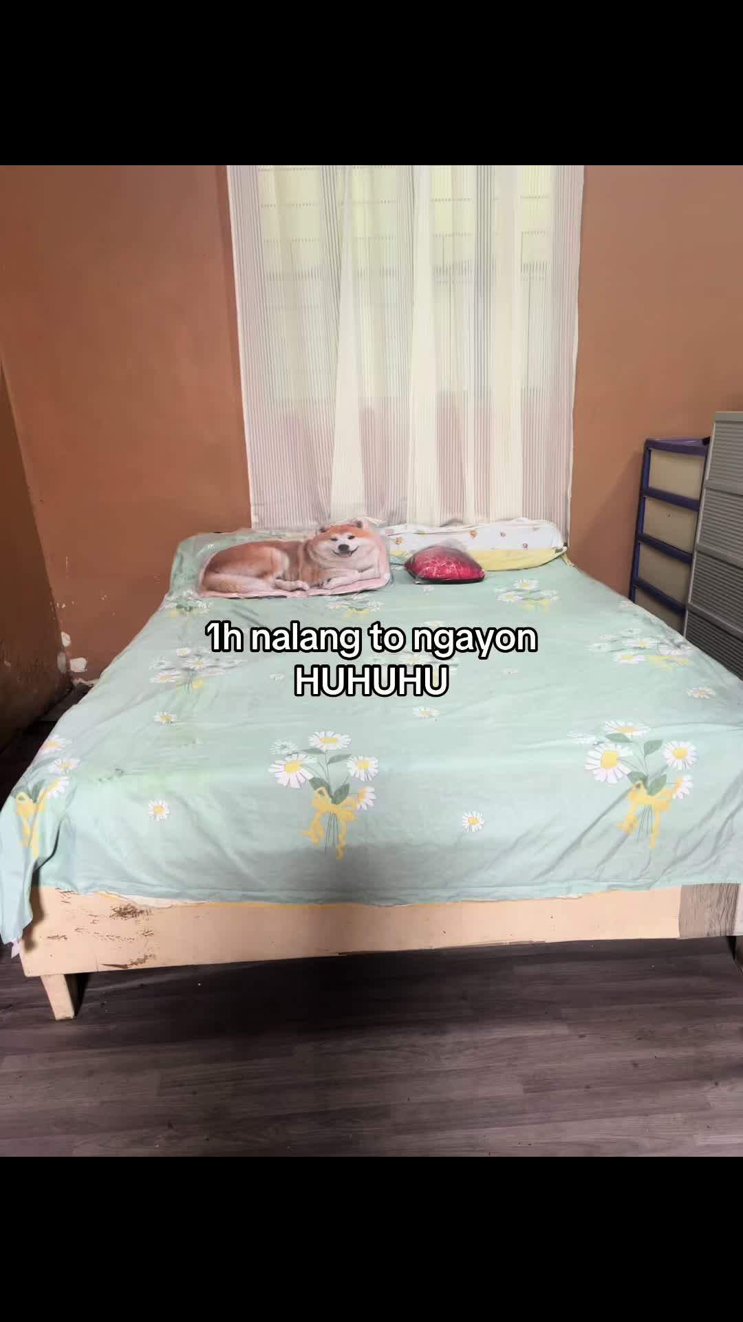 1 hour left for this now HUHUHU TikTok video