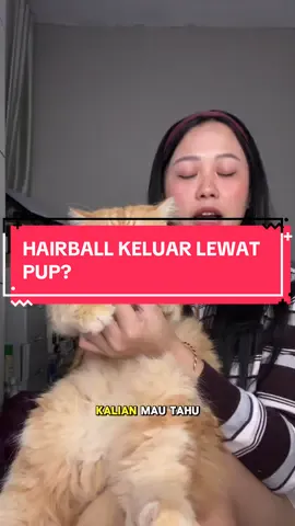 You want to know how shocked I was after Miki ate this. TikTok video