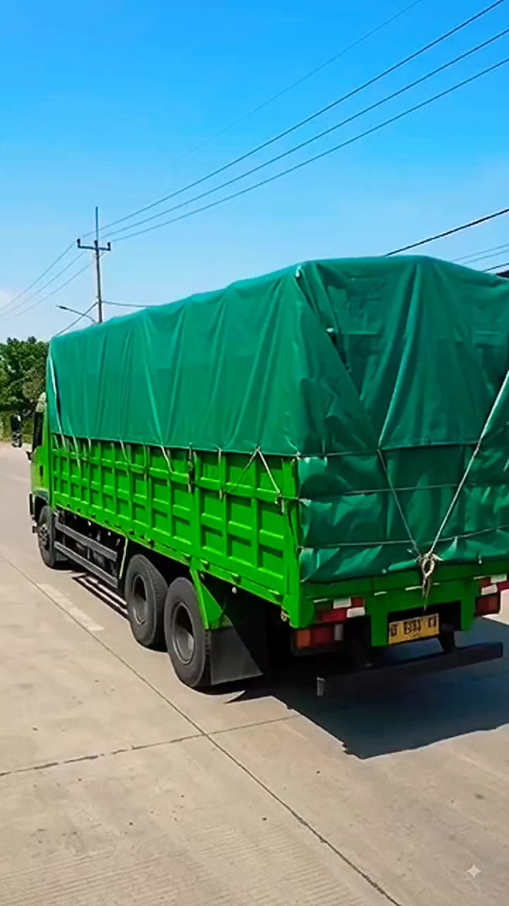 Here is this super thick tarp for your truck cargo. TikTok video