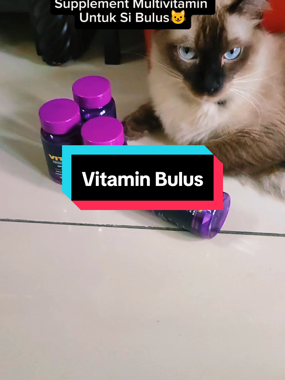 Multivitamin Supplement For Si Bulus, Helps Restore The Health Of Si Bulus's Fur And… TikTok video