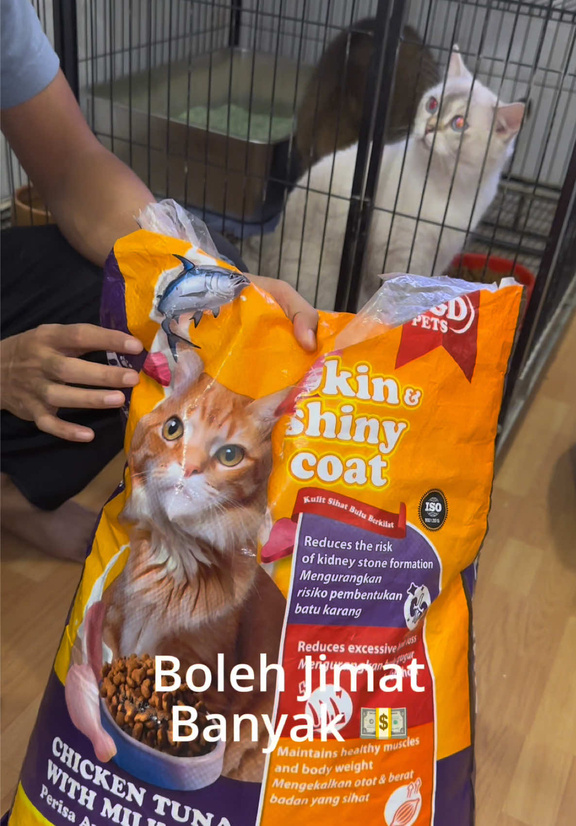 Look, the cats love it, this is their first time eating this food. TikTok video