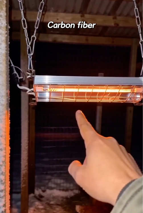 If your coop gets this cold you need more than a little light On nights like this I… TikTok video