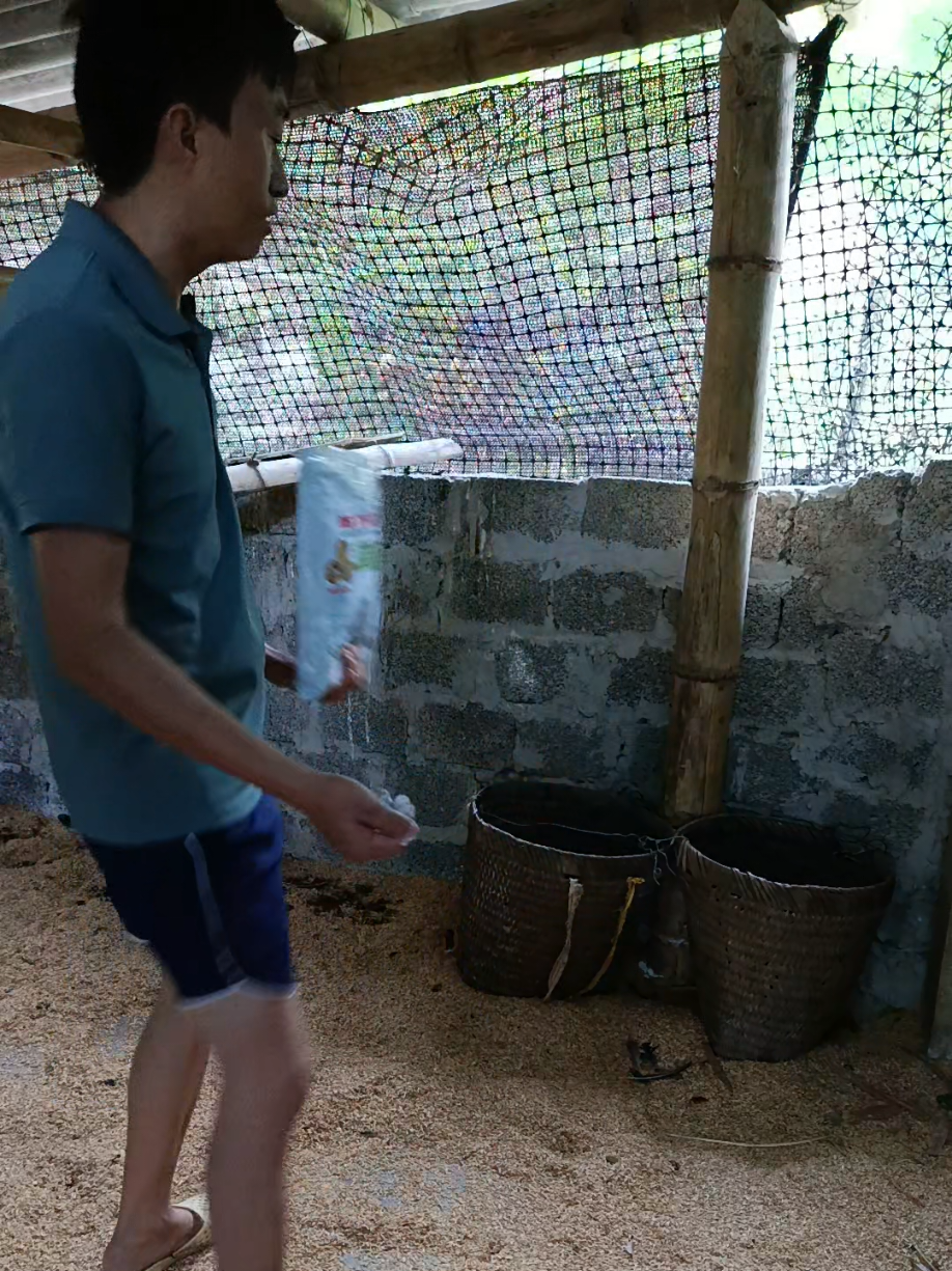 This product is suitable for poultry, especially chickens, to eliminate parasites on… TikTok video