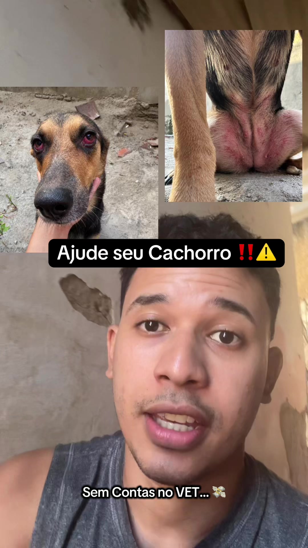 Help Your Dog‼️⚠️ No Need for Vet Bills... TikTok video