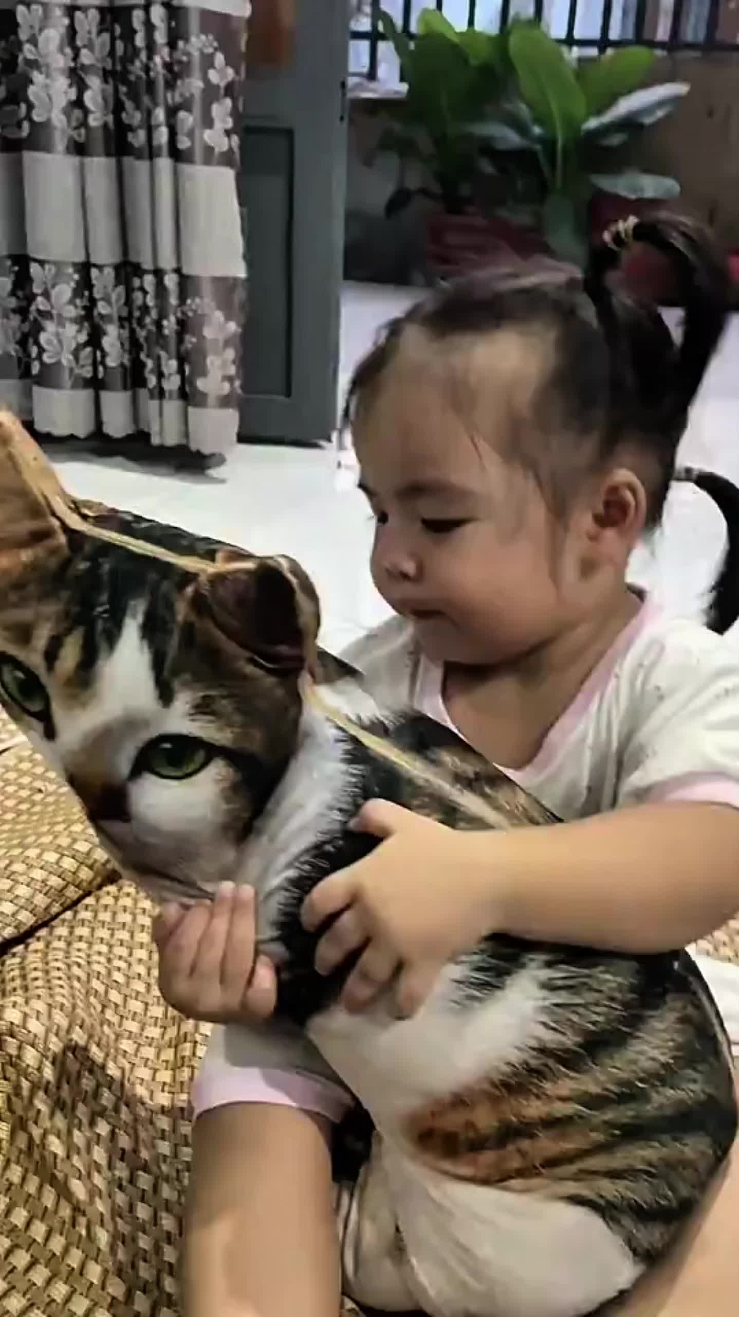 If your child loves cats, you must have this cat pillow. TikTok video