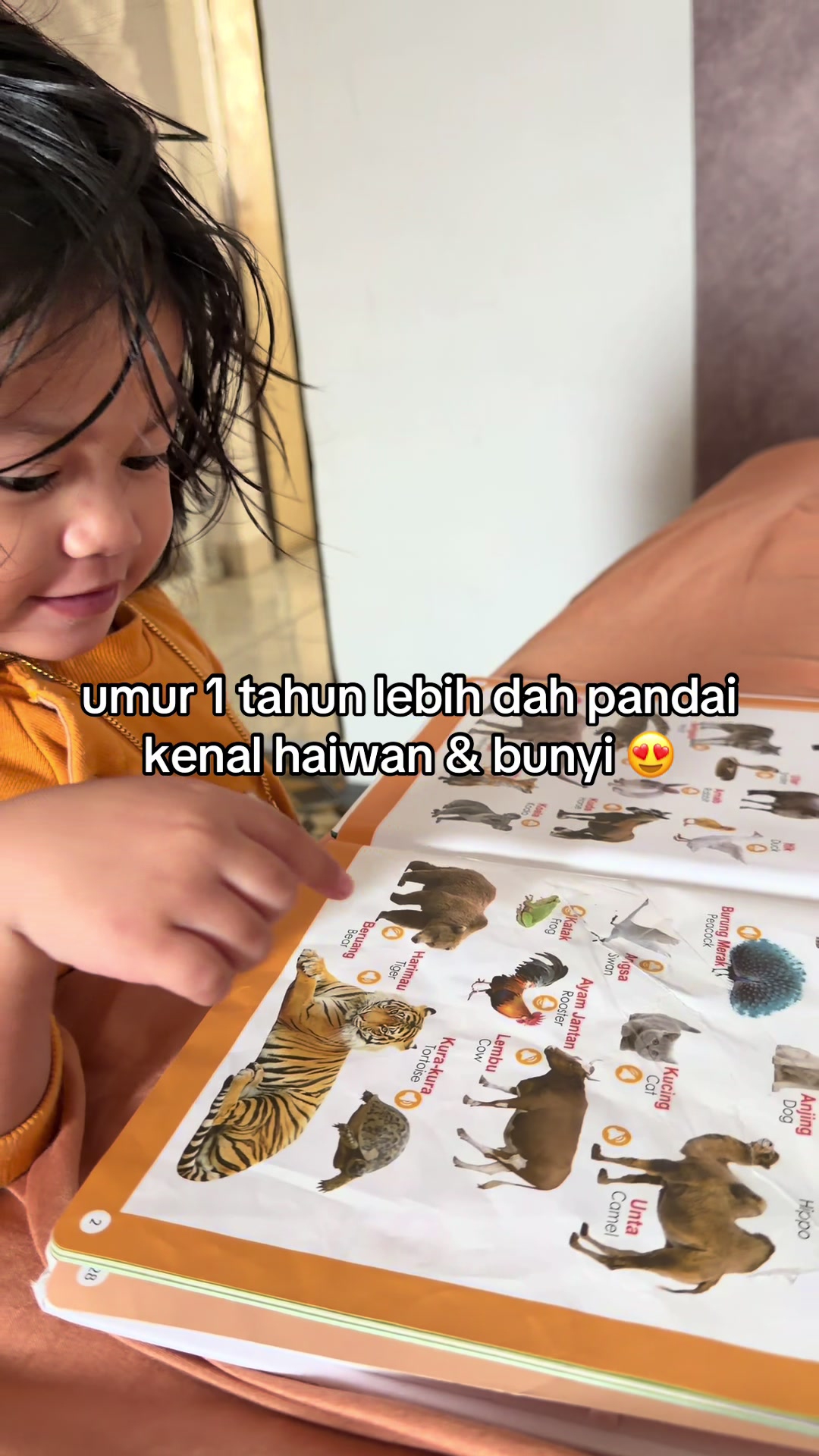 Over 1 year old already smart at recognizing animals & their sounds 😍 TikTok video