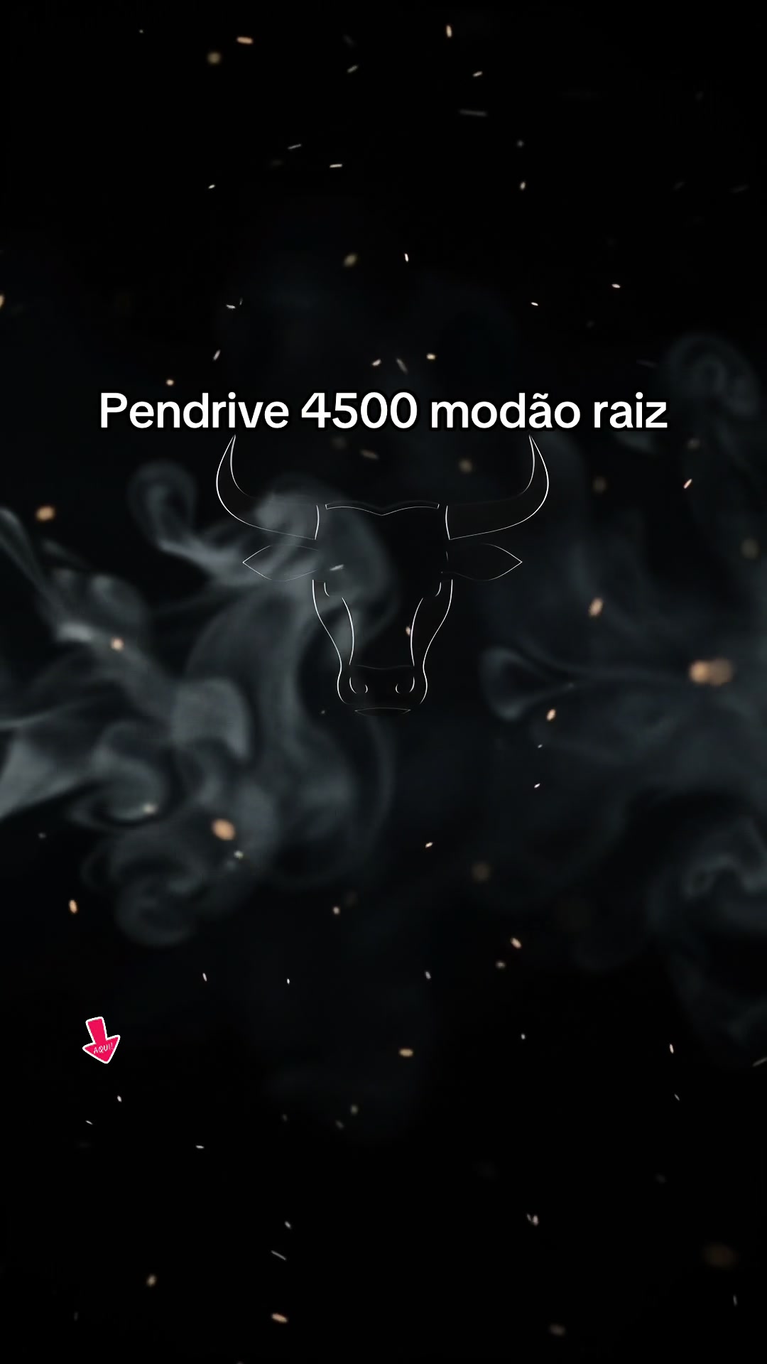 Pendrive 4500 modão raiz, MODÃO RAIZ 4.500 CLÁSSICOS TikTok video
