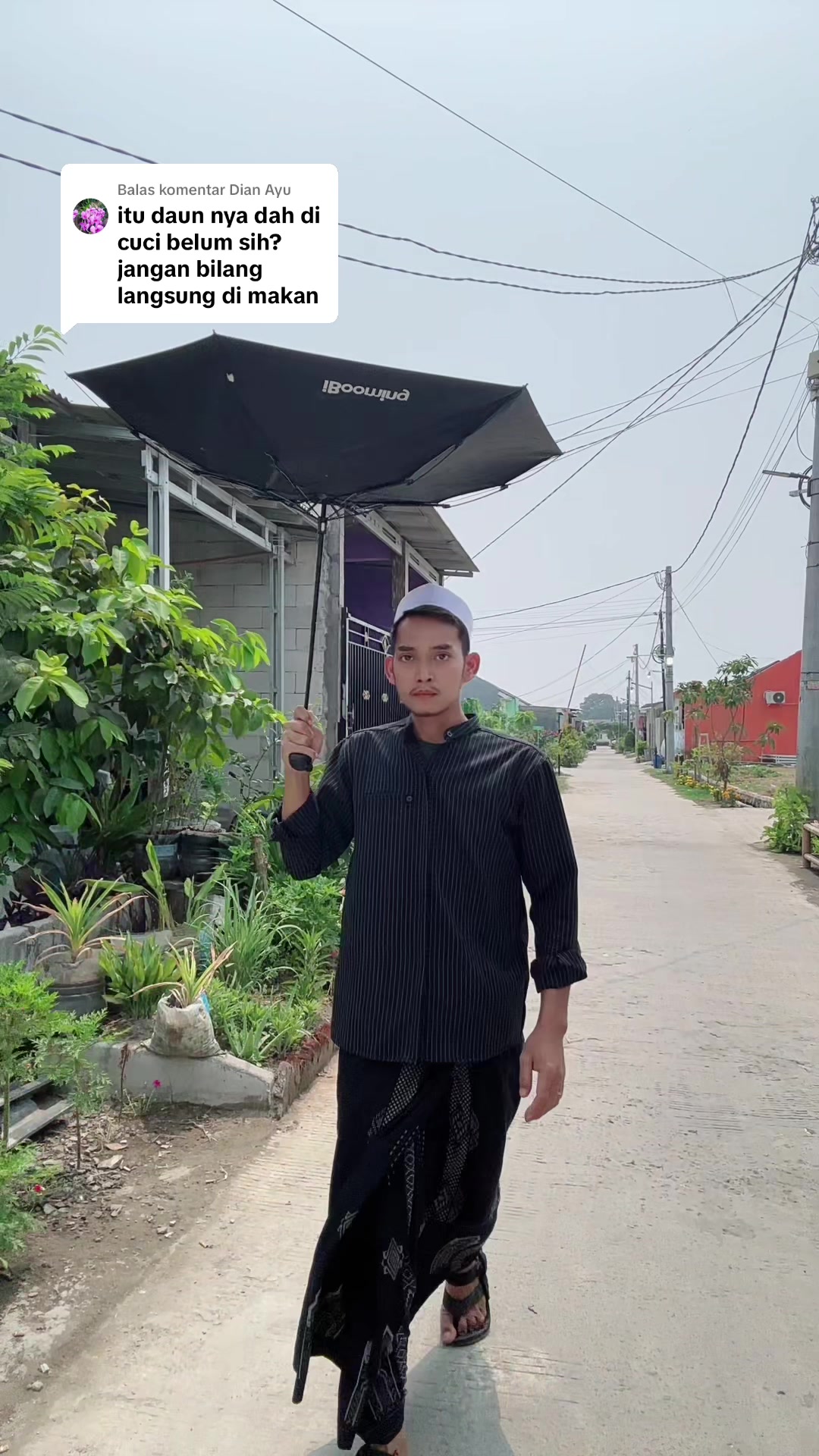 Replying to Dian Ayu's comment: Have you washed this leaf? TikTok video