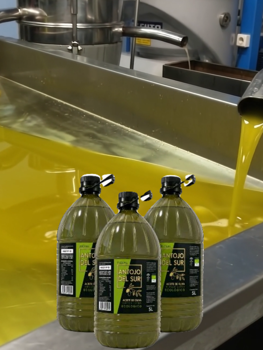 Premium organic extra virgin olive oil from Sevilla 🇪🇸🌿 olives 🍊 TikTok video