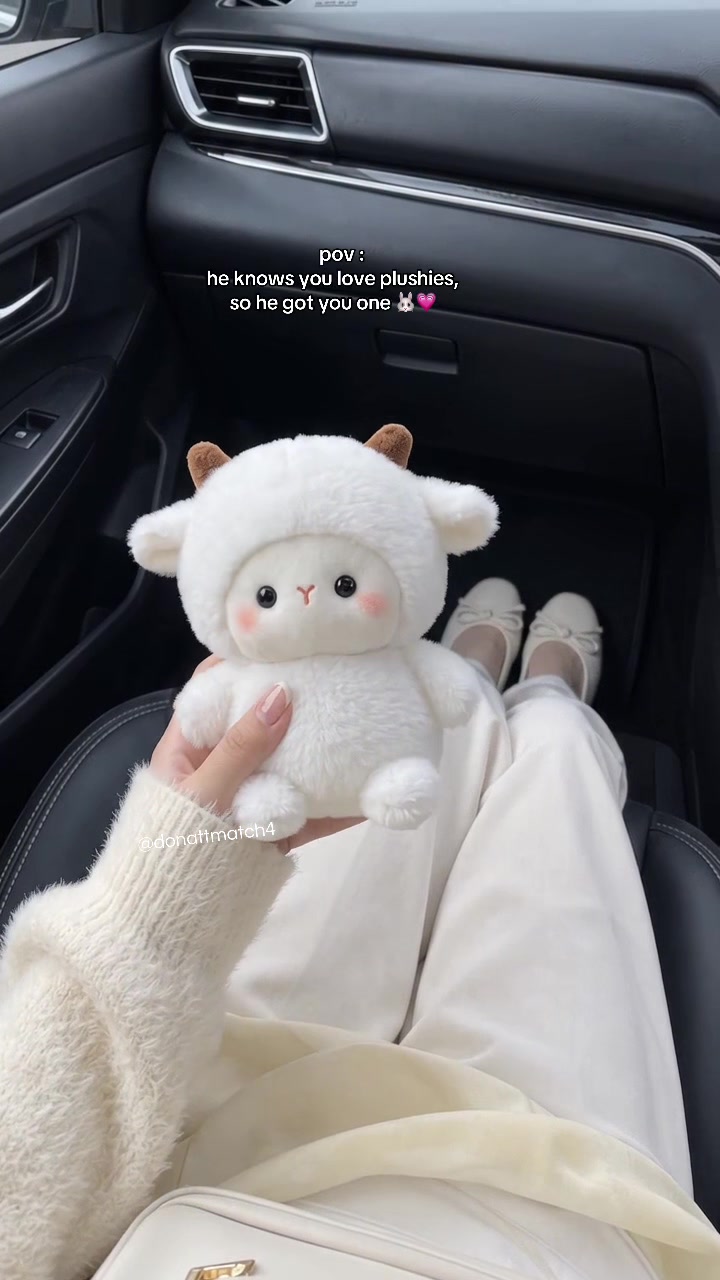 Pov : he knows you love plushies, so he got you one 🐰💗 TikTok video
