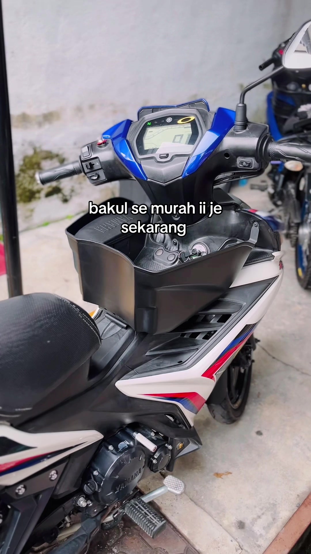 This basket is extremely cheap right now TikTok video