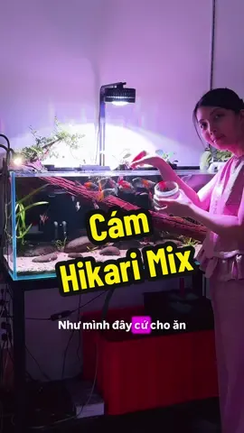 저는 매일 이 통의 물고기 사료를 써요 TikTok video