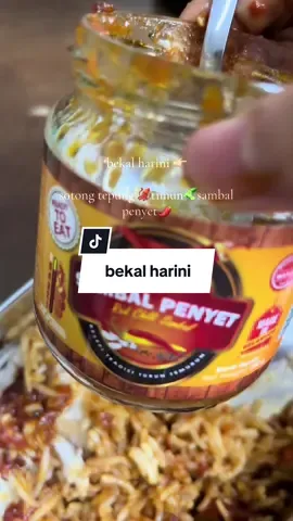 Today's meal battered squid cucumber sambal penyet TikTok video