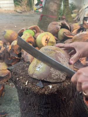 Today I'm sharing a gardening knife from our shop that the whole family can use. TikTok video