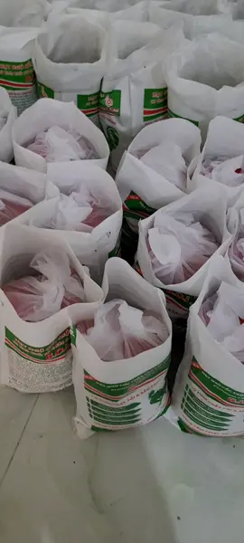 Each bag is 5kg, and we'll give you an extra 5 mangoes to eat. TikTok video