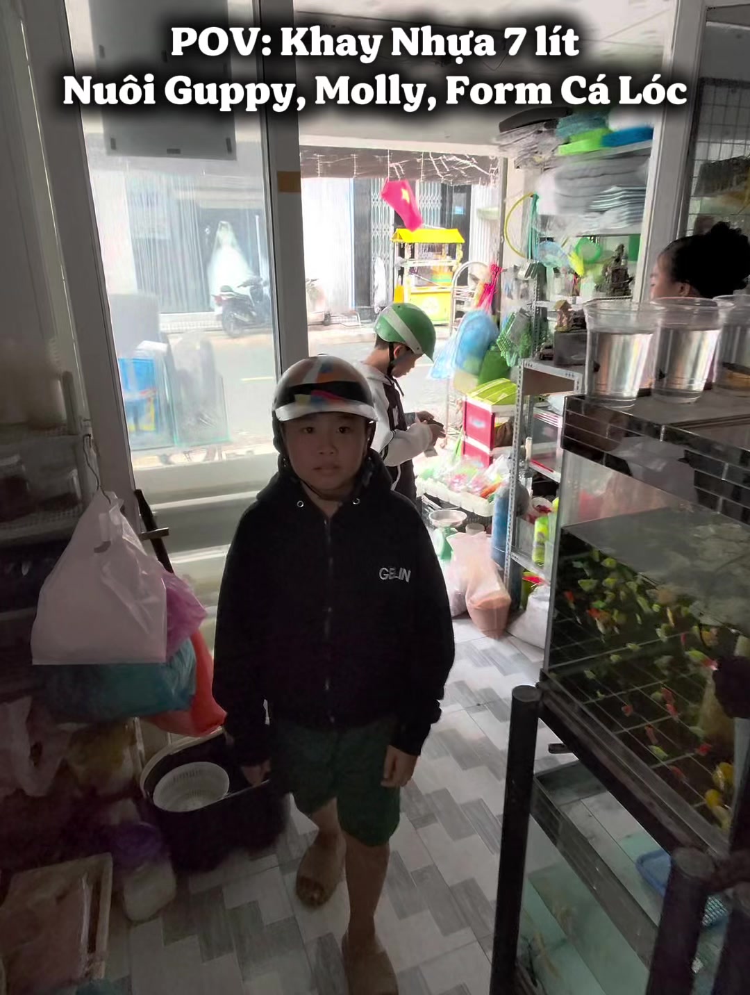 The shop opens, customers come in to choose suitable plastic breeding trays for… TikTok video