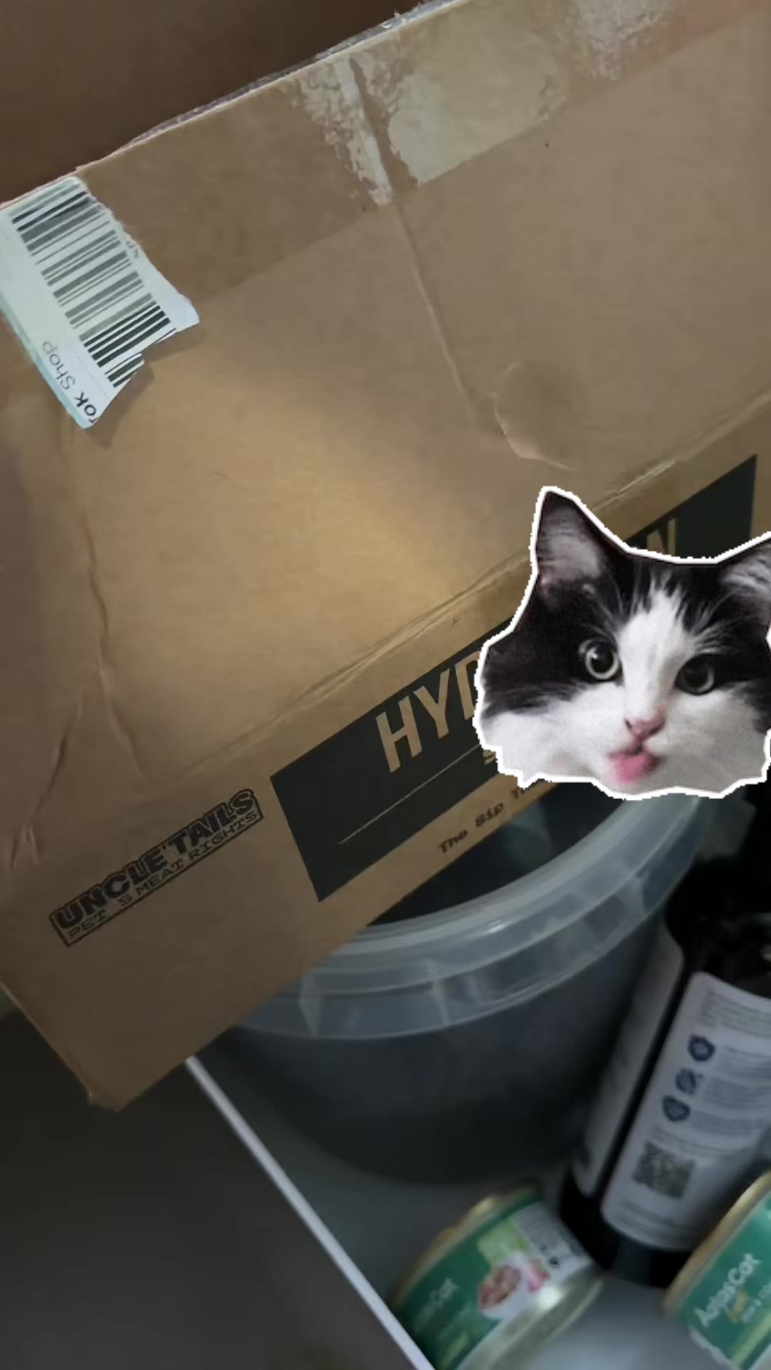 Come prepare dinner with me for my fur babies TikTok video
