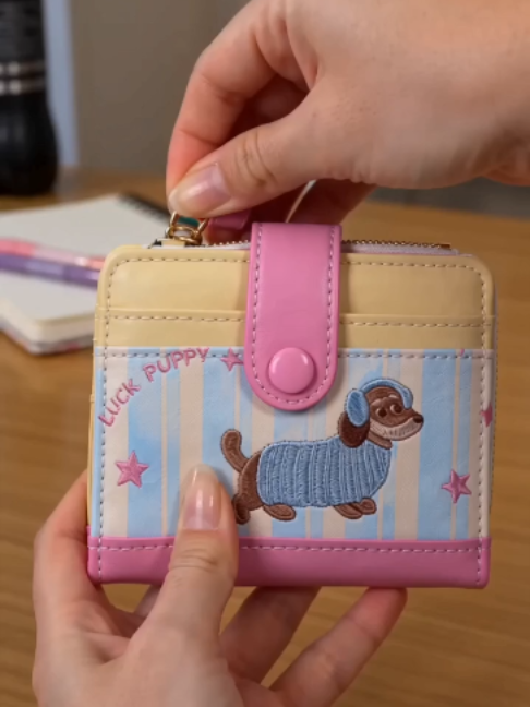 I suggest you see how many things this cute little wallet can hold. TikTok video