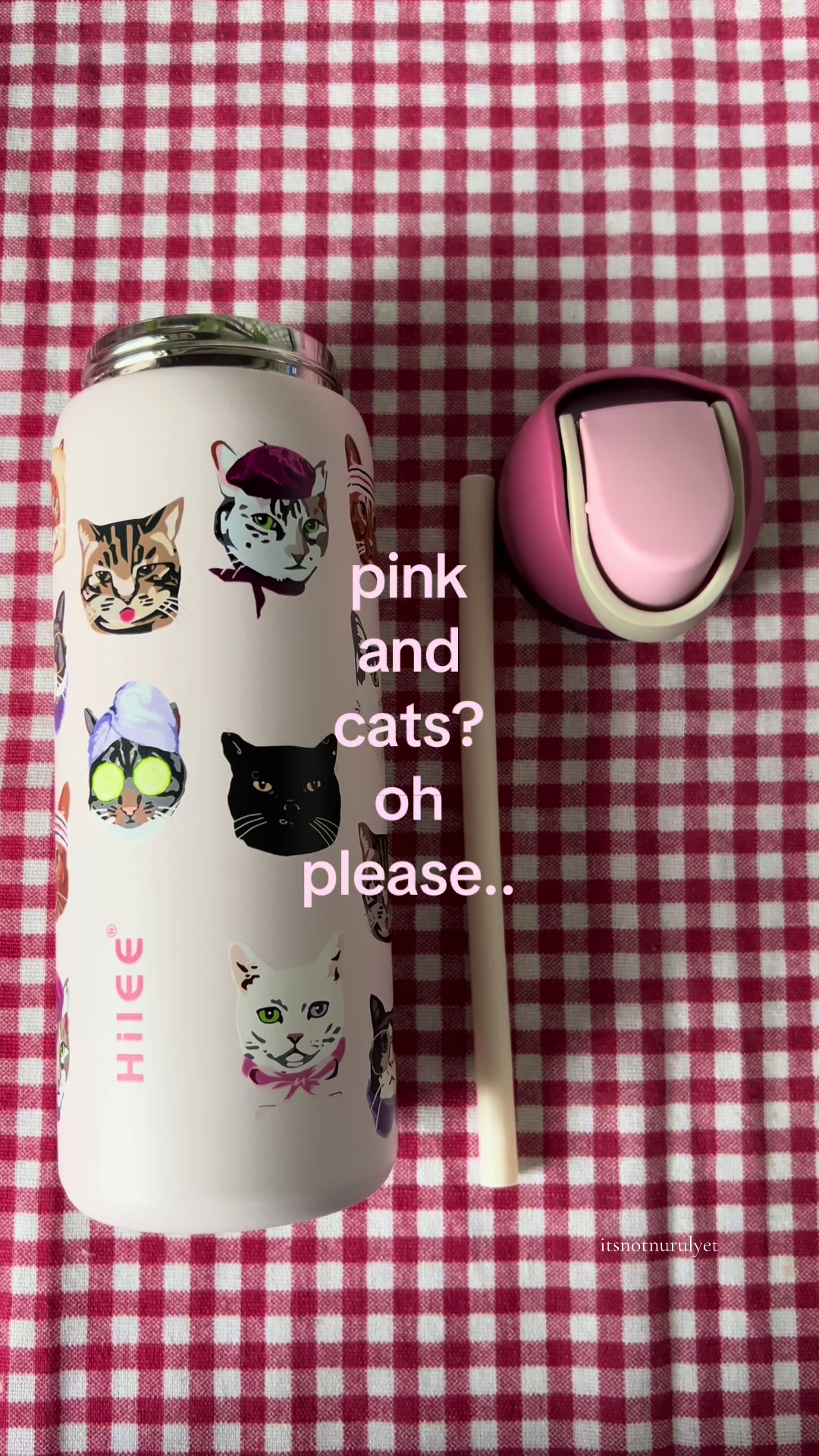 Pink and cats? TikTok video
