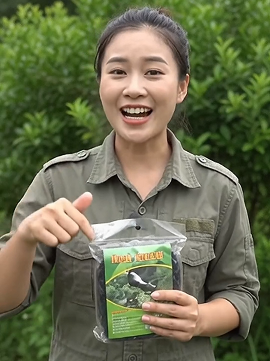 Tired of birds damaging your crops? TikTok video