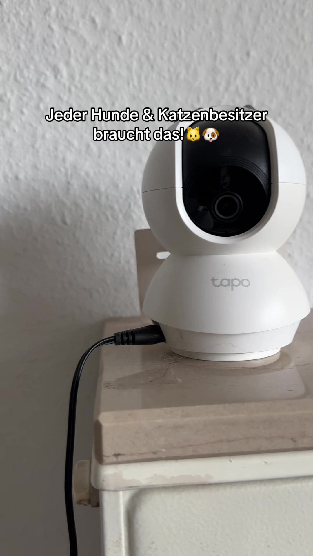 Every dog & cat owner needs this! TikTok video