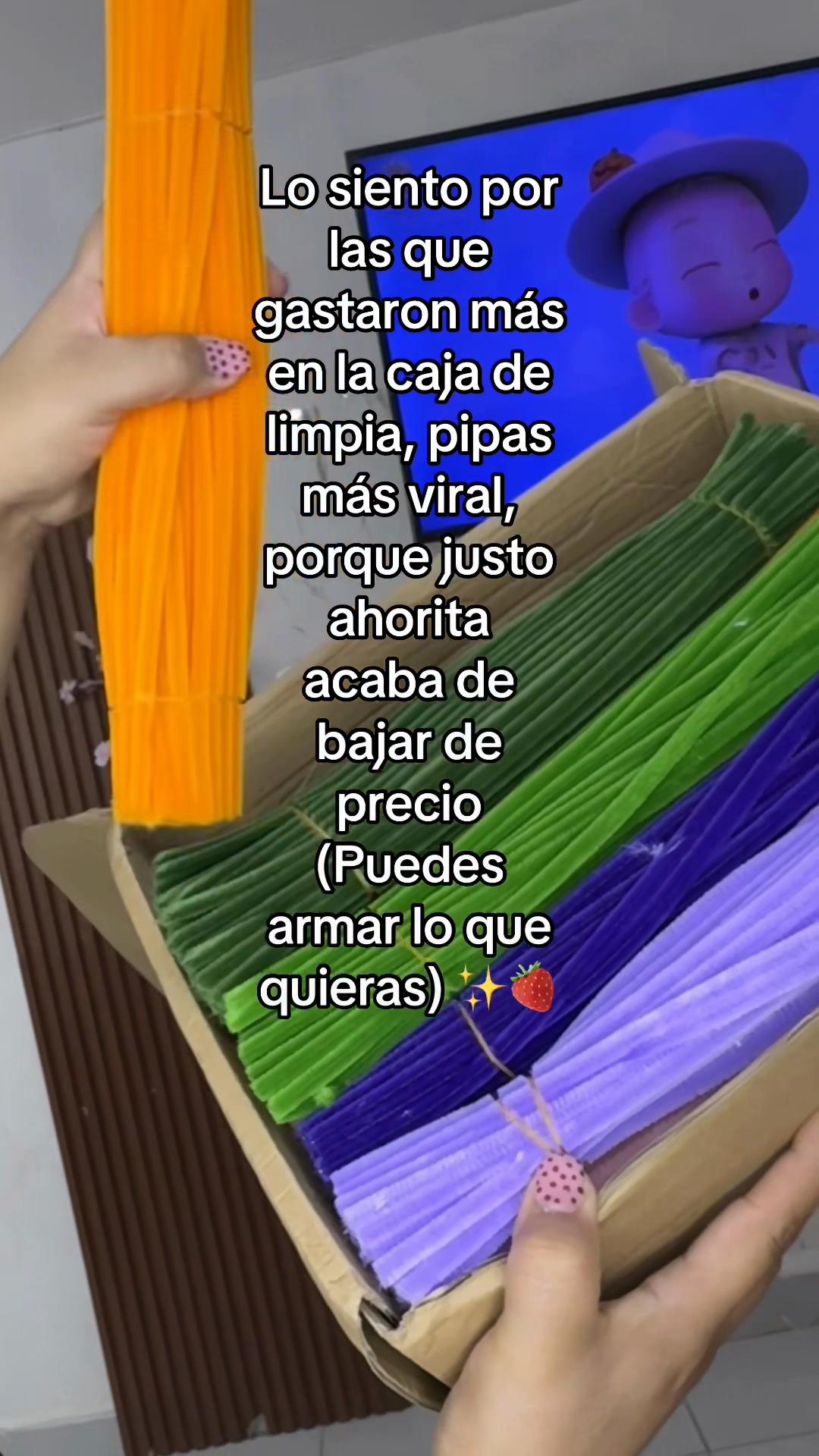Sorry to those who spent more on the viral cleaning pipe cleaner box, because its… TikTok video