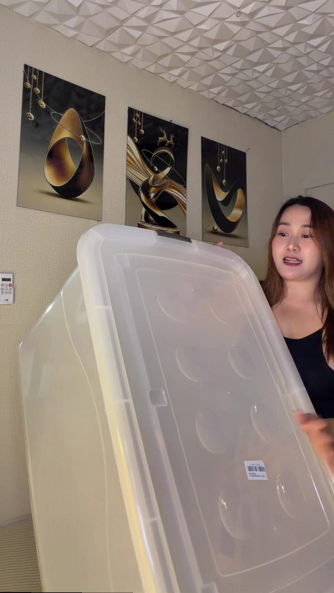 This is the huge multifunctional storage box I bought. TikTok video