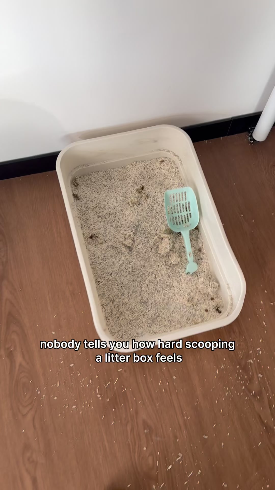 Nobody tells you how hard scooping a litter box feels when bending down hurts after… TikTok video