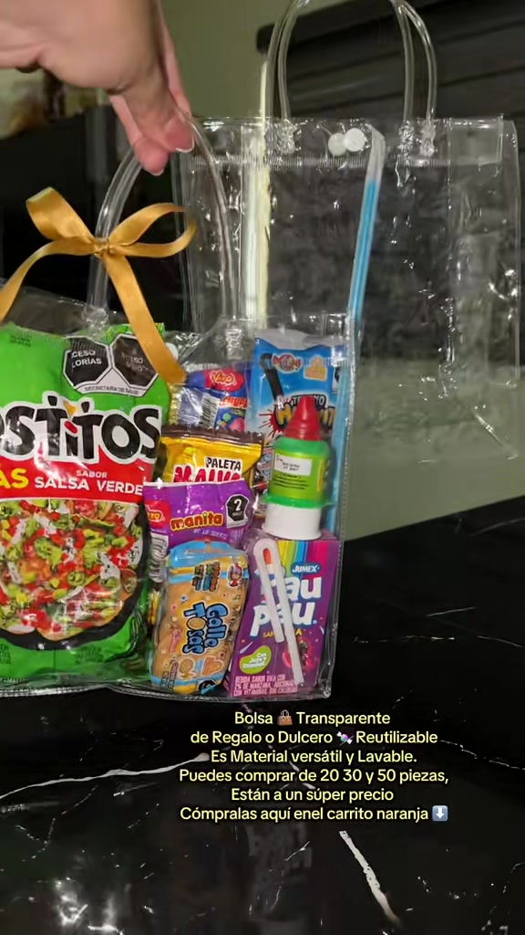 Transparent Reusable Gift or Candy Bag, Versatile and Washable Material. TikTok video