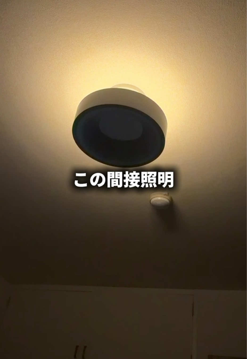 Exceeded expectations This lighting For its price Supports 12-level brightness… TikTok video