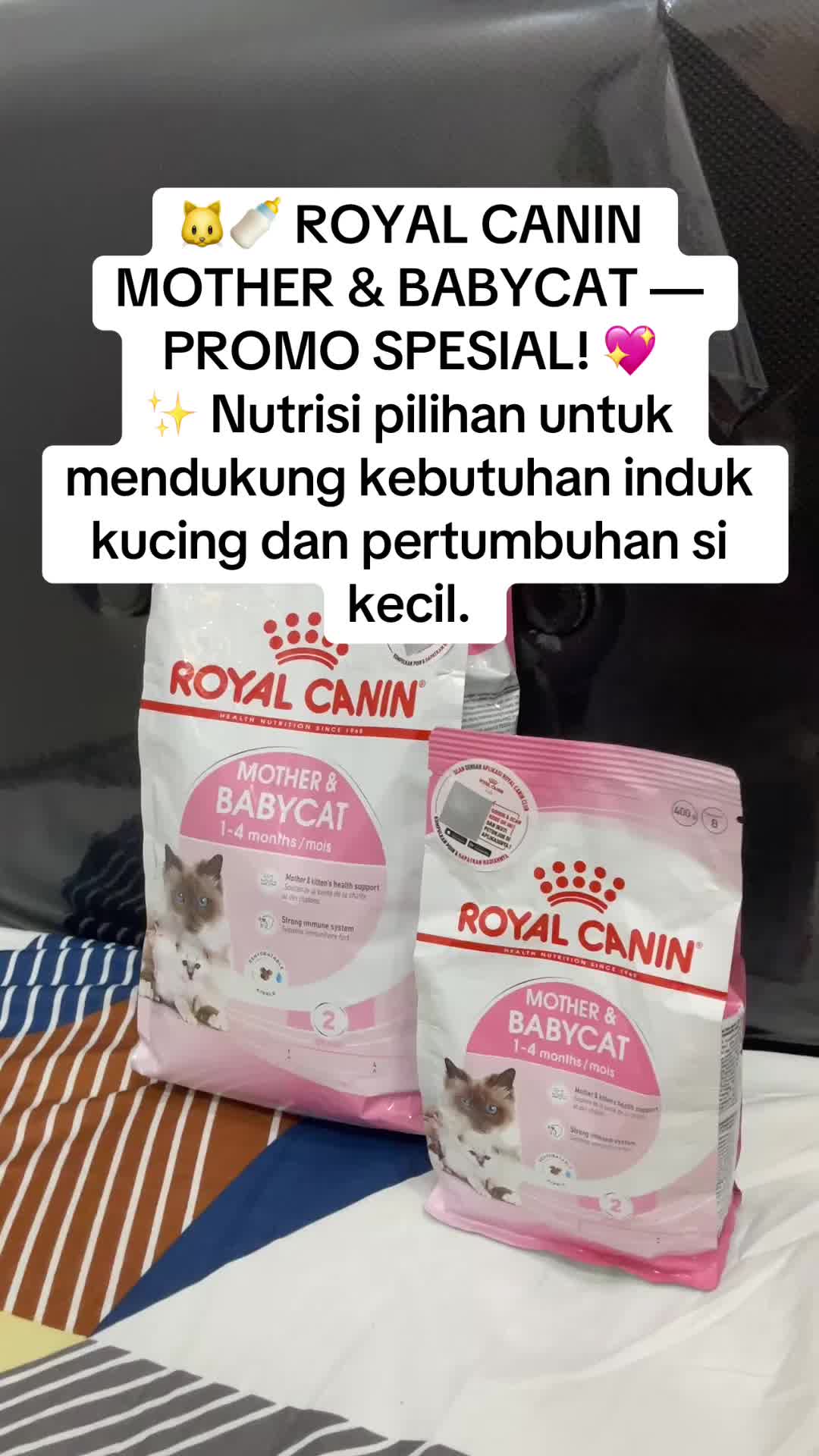 🐱🍼ROYAL CANIN MOTHER & BABYCAT — SPECIAL PROMO! TikTok video