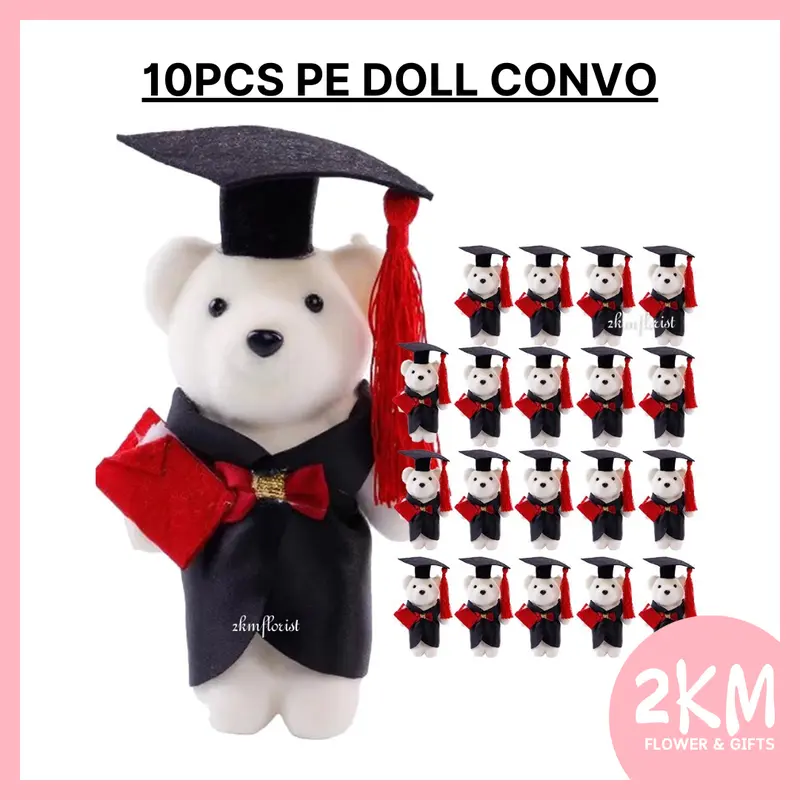 PE DOLL CONVO BEAR KONVO 졸업 테디베어 인형