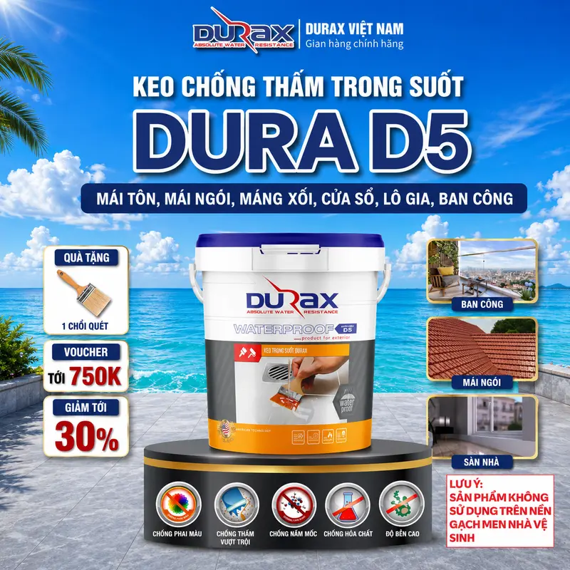 DURA D5 Clear Waterproofing Sealant for Rooftops, Walls and Wood, All Sizes, with Free Paintbrush