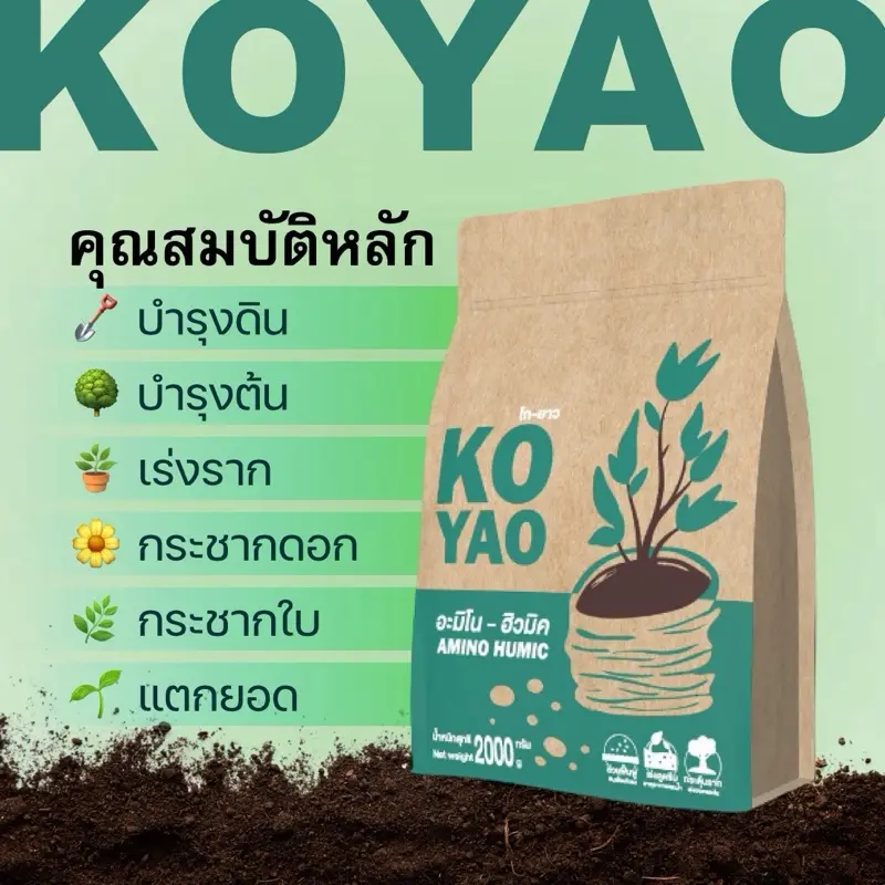 Koyao Store AminoHumic konzentrierter Pflanzendünger