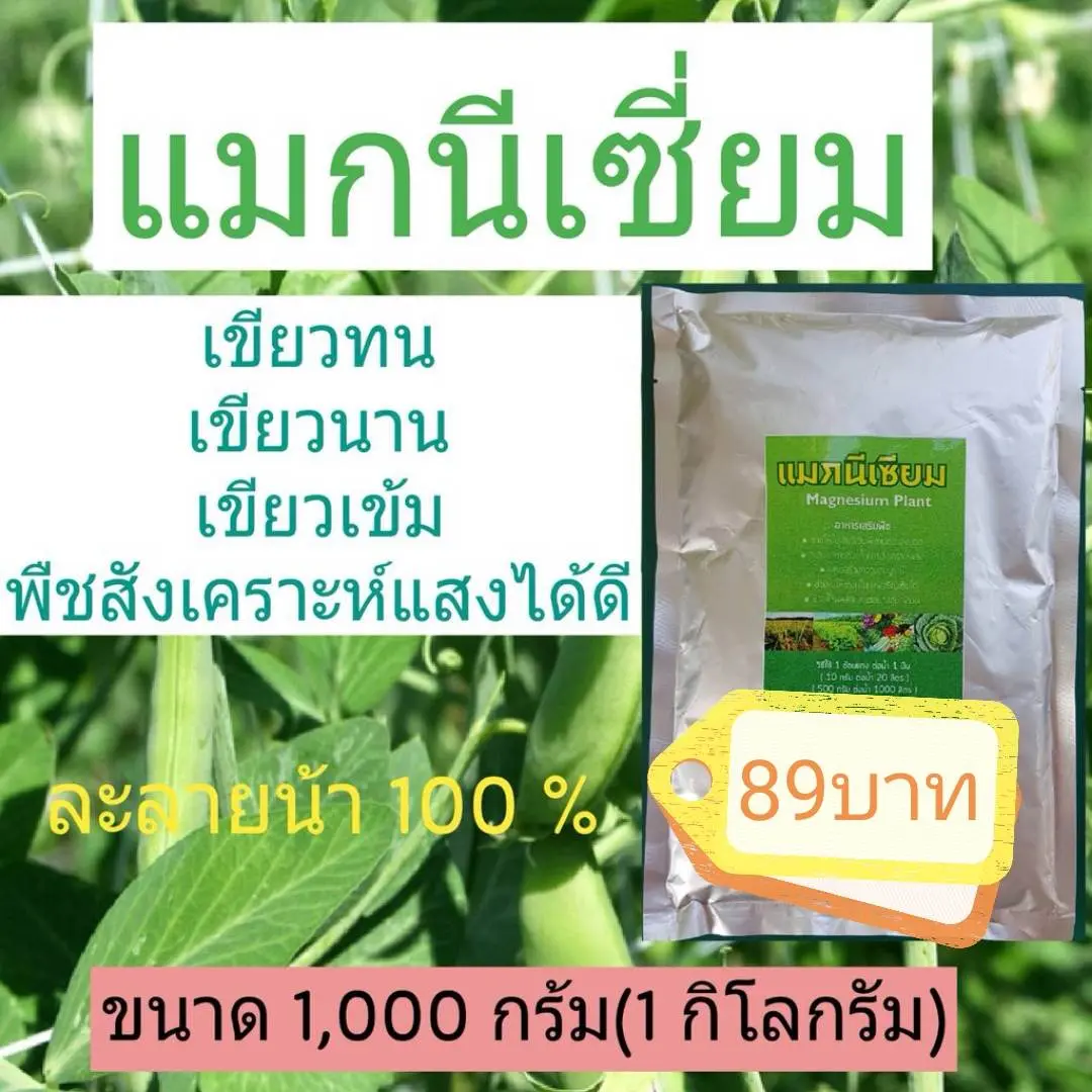 식물용 황산마그네슘(Magnesium Sulphate) 1kg - 광합성·잎 녹화·유황 공급용, 100% 수용성, 고급 방습 포일 포장 식물 영양제