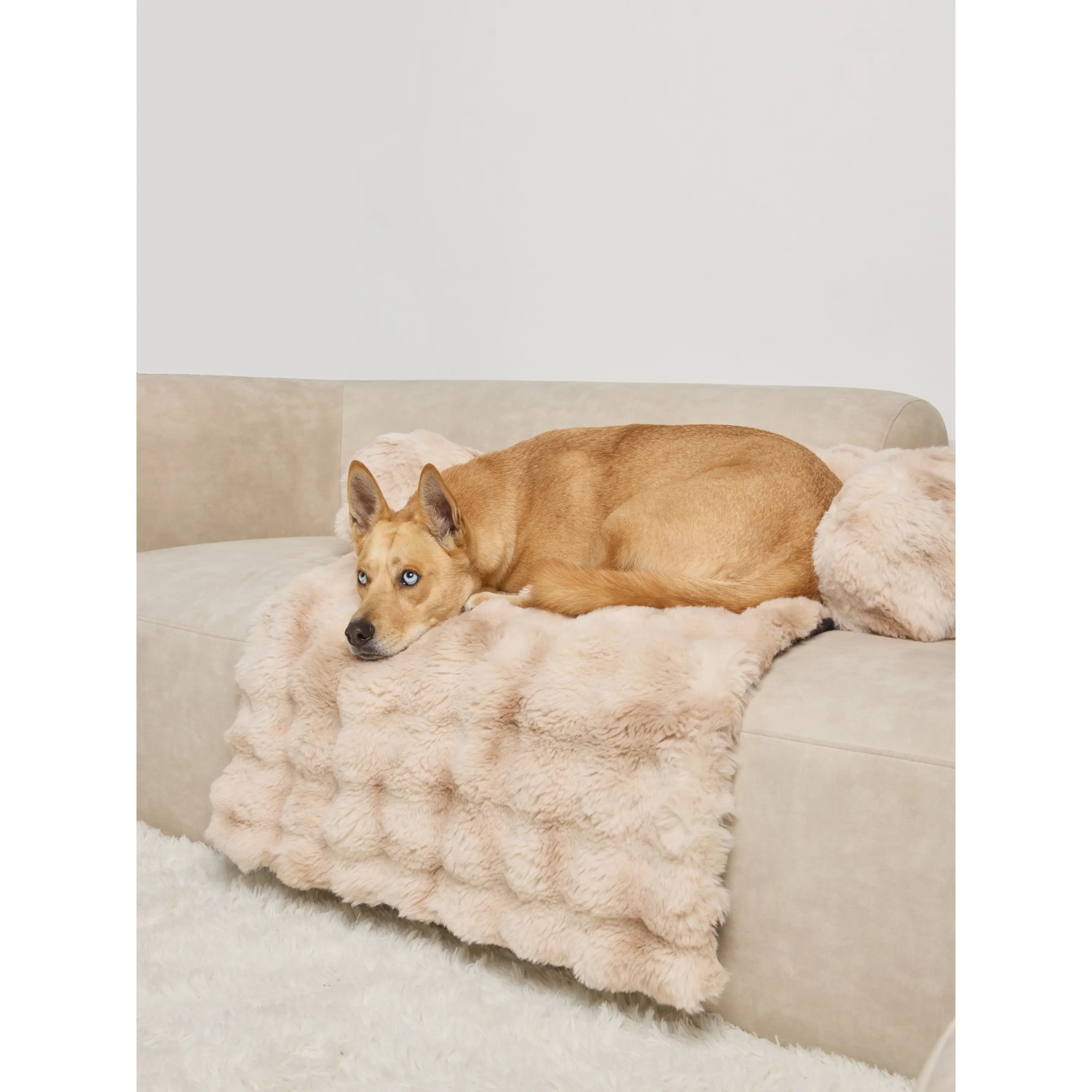 Comfrt Dream Cloud Pet Sofa Bed
