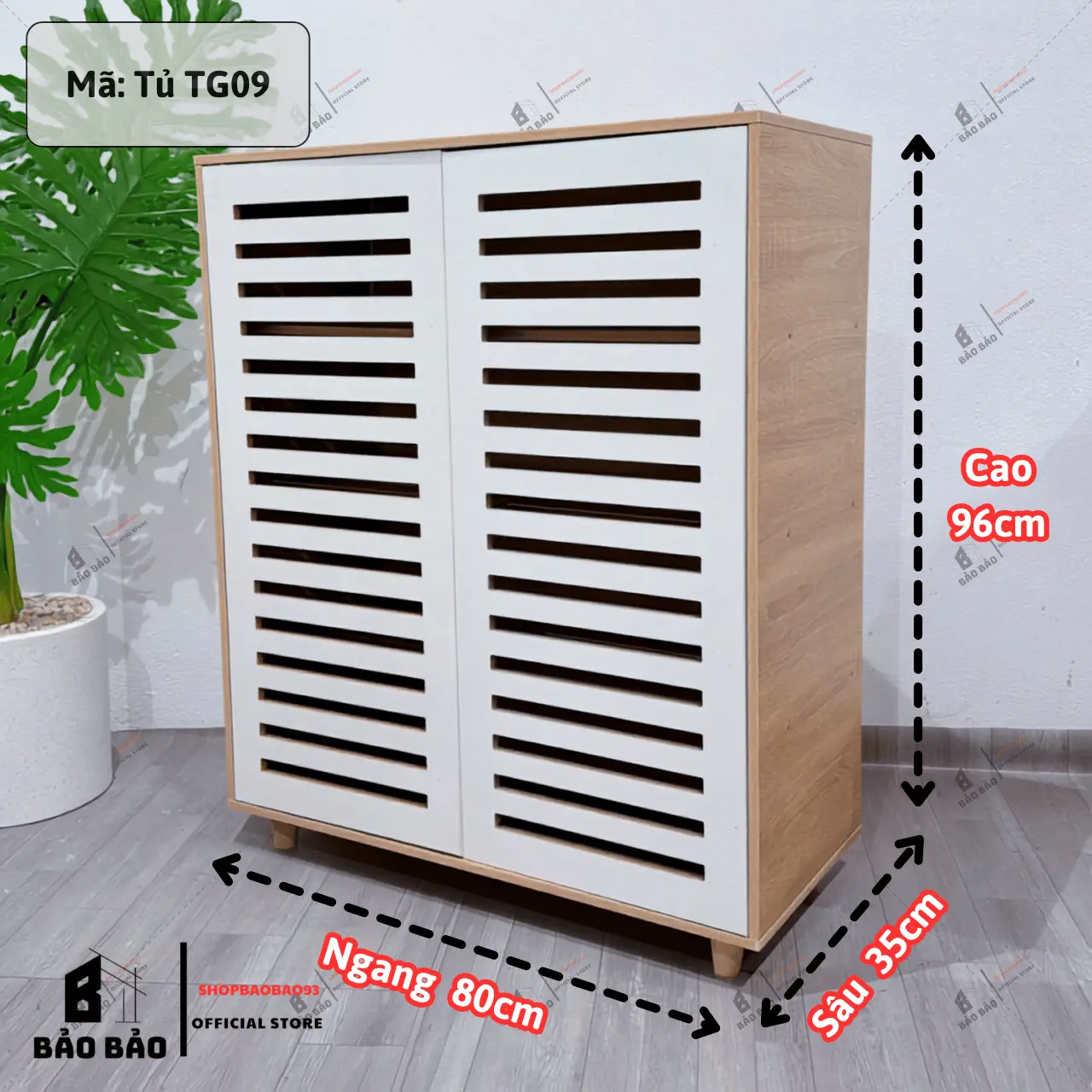 TG09 Modern Water-Resistant MDF Wooden Shoe and Storage Cabinet with Shelves