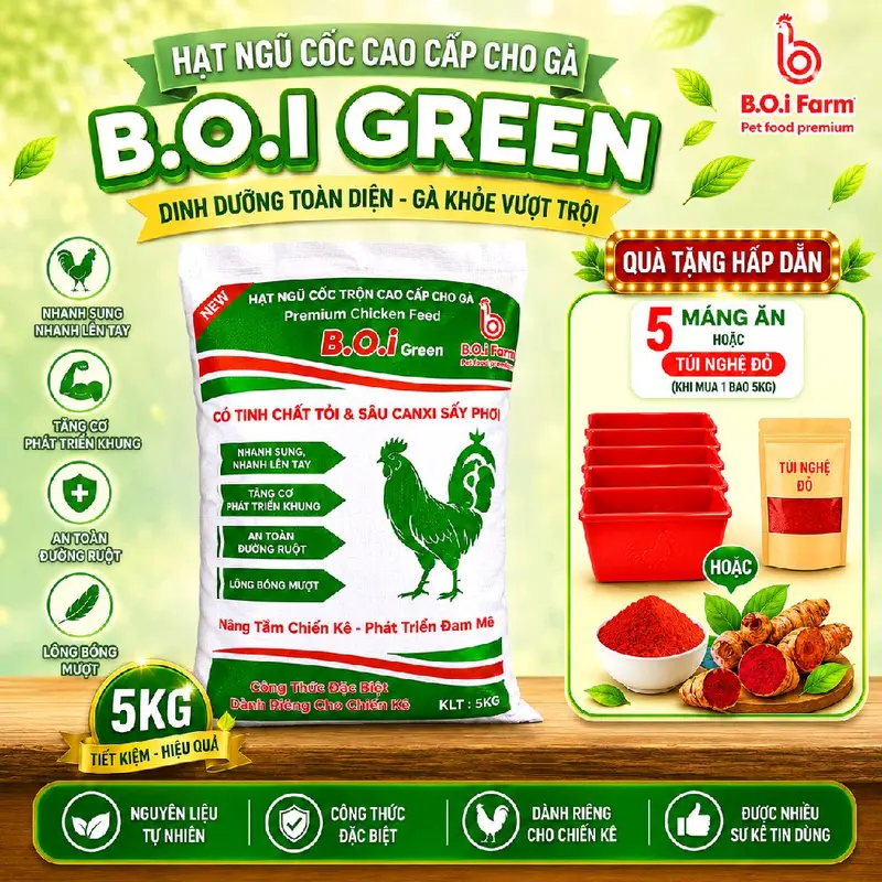 B.O.i Green Grade 1 Chicken Grain Feed with Garlic Extract and Calcium Worms, 5 kg, Includes 5 Feeders or a Bag of Red Turmeric